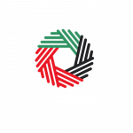 partner federal tax authority