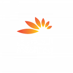 partner mashreq