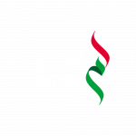 Partner_amer